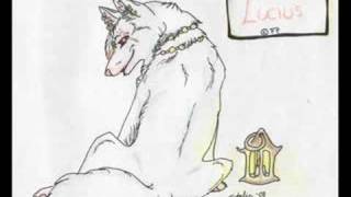 Cliché-Barricades In Time