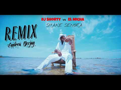 Dj Shorty vs El Micha - Shake Senora (Afro Remix Andrea Deejay)