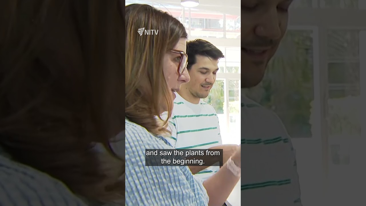 Kodie Mason is weaving together tradition and cultural education through hands on workshops | NITV