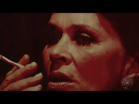 Video thumbnail for Royal Jelly