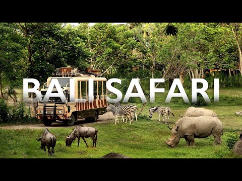 Unbelievable Bali Safari — Full Tour