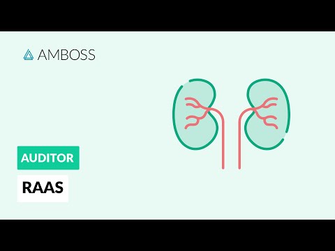 RAAS - Das Renin-Angiotensin-Aldosteron-System - AMBOSS Auditor