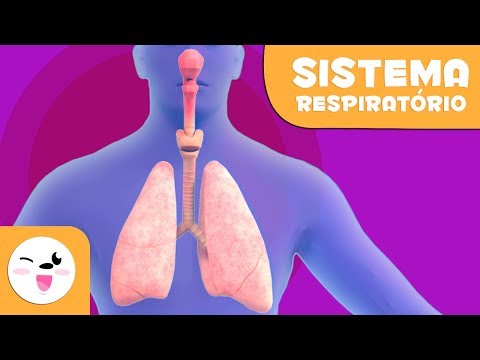Sistema Respiratório | Corpo Humano para crianças