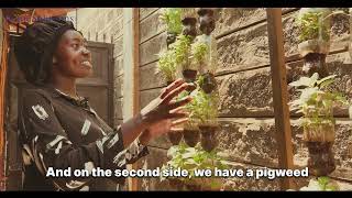 Kijiji Solution's Vertical Garden