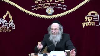 הרב אלימלך בידרמן | אמונה בממון וזקיפת ראש: מחותם השובבי"ם לישועות שבת שקלים - פרשת משפטים תשפ"ו (ארגון קול הלשון) - התמונה מוצגת ישירות מתוך אתר האינטרנט יוטיוב. זכויות היוצרים בתמונה שייכות ליוצרה. קישור קרדיט למקור התוכן נמצא בתוך דף הסרטון