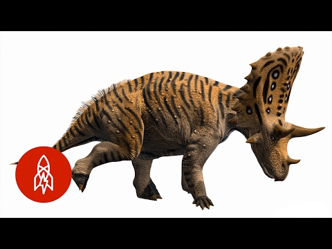 Meet Wikipedia's Resident Paleoartist