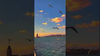 Download lagu Beautiful place in Turkey #ceritahijrah #turkey #shortvideo #reels #storywa mp3 Download lagu Beautiful place in Turkey #ceritahijrah #turkey #shortvideo #reels #storywa mp3