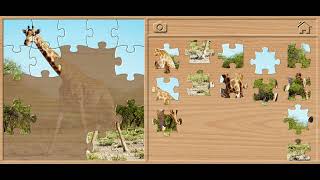 🦒 Giraffe Jigsaw Puzzle - Animals Puzzles for Kids Walkthrough