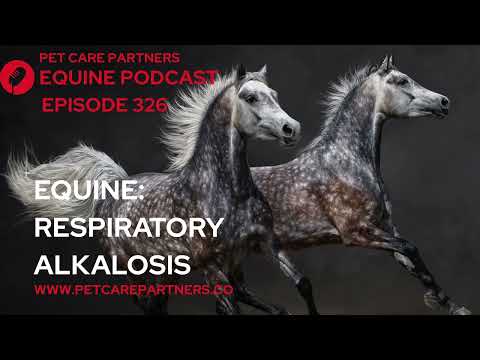 EP 326: Respiratory Alkalosis in Horses | Causes, Diagnosis & Treatment Explained