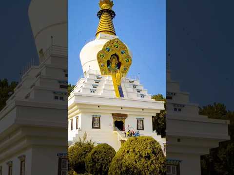 Budha temple dehradun 🕉️🌼#shorts #viral #viralvideo #buddha #buddhatemple #dheradun #kotdwar