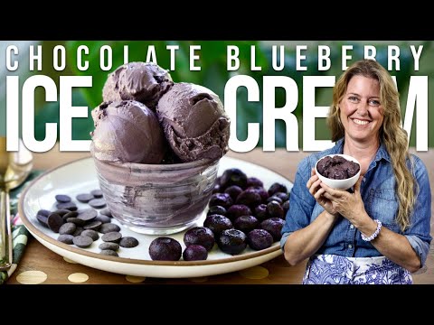 Vegan Chocolate Blueberry Ice Cream that WON'T Spike Your Blood Sugar!