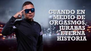 Amor de Leones - Zulu Lion - Lyric Video