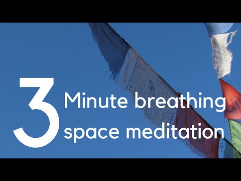3 Minute Breathing Space Meditation | Maitreyabandhu