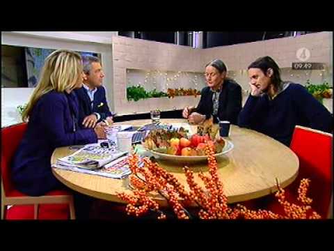 Kleerup ur form i nyhetsmorgon, TV4. 20/10/2010