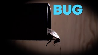 BUG - Trailer - Movies! TV Network
