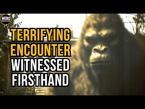 TERRIFYING: Documented Encounter Near Mount St. Helens