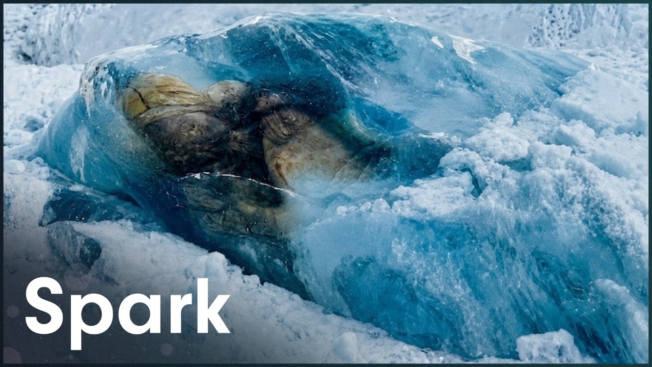 This Perfectly Preserved Mummy Was Frozen In Ice For 650 Years