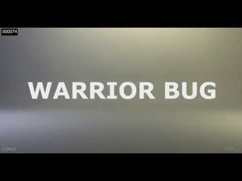 Warrior Bug