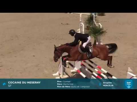 CIR SHF 2018 - CSO Saint Lô 6 ans - Cocaine du Maseray