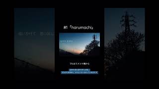 - 【repost】harumachi #知声 #voisona #知声song