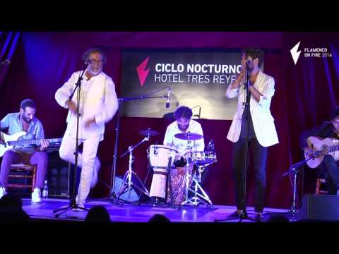 Diego Carrasco & la Carrasco Family + Tomasito | Flamenco On Fire 2016