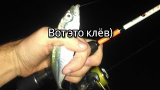 Ловля саргана ночью