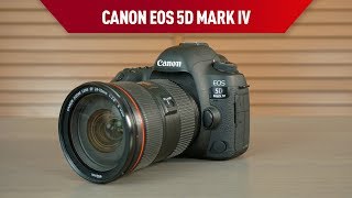 Canon EOS 5D Mark IV fotoğraf makinesi incelemesi