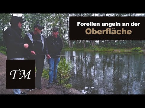 ERFOLGREICH auf Forellen an der Oberfläche mit der Pilotkugel!