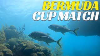 Bermuda Cup Match Scuba Diving - Ep 62