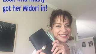 Midori Haul from Dollar Tree, Walmart, Target and Amazon