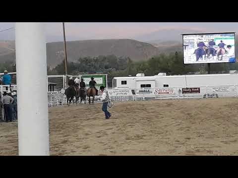 D4 Revolving Door Salmon 2020 2