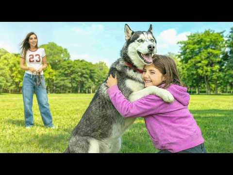 We Reunited with our Dog After Years!