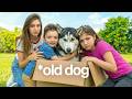 We Reunited With Our Dog After Years