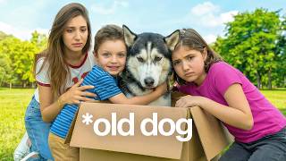 We Reunited with our Dog After Years!