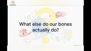 Structure of the Skeletal System