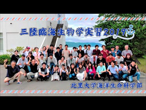 海洋生命科学科 2019年度 海洋実習（三陸）