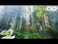 Beautiful Relaxing Music • Peaceful Piano Music \u0026 Guitar Music | Sunny Mornings by Peder B. Helland mp3 Beautiful Relaxing Music • Peaceful Piano Music \u0026 Guitar Music | Sunny Mornings by Peder B. Helland mp3