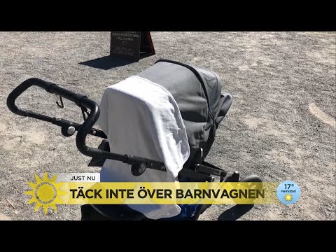 Varning för att täcka barnvagn med filt: ”Hettan kan bli livsfarlig” - Nyhetsmorgon (TV4)