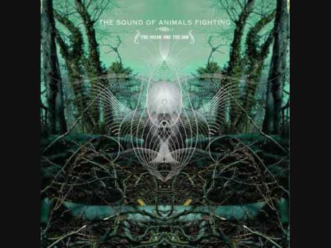 I, The Swan - The Sound of Animals Fighting