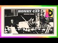 Elton John - Honky Cat (Session Demo / Visualiser)