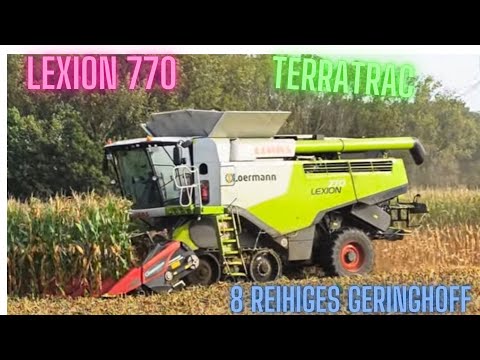 Class Lexion 770 bei der 8  Reihigen Maisernte 2023 TerraTrac