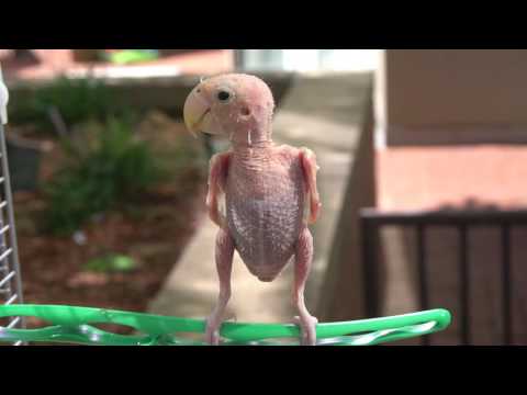 Happy Saturday everyone!