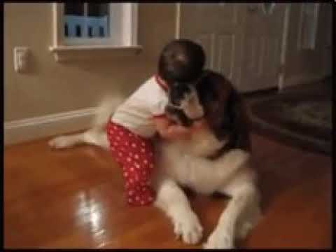 Nisam ja... Ali od rodjenjs pas ti je najbolji prijatelj...❤️