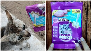 Whiskas Cat Food Review | Best Cat/ Kitten Food in India