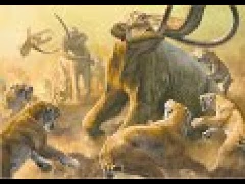 ROBLOX Cenozoic Survival: Smilodon Pride Hunts a Mammoth