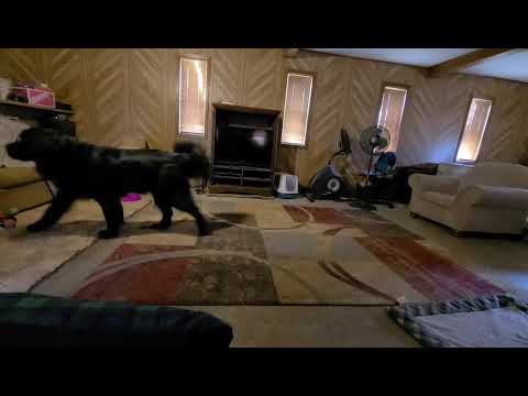 GOAD Back and Forth day 1