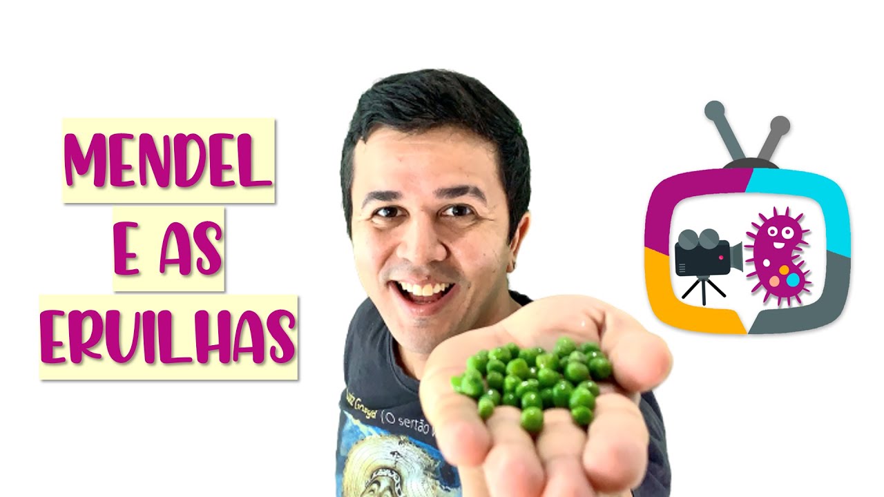 O experimento de Mendel