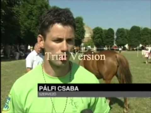 III. Családi Lovasnap a Pulzus TV-n