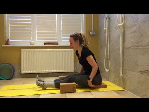 Dandasana variations yoga