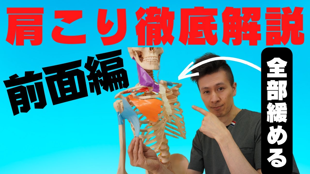 【肩こり徹底解説　】前面編
